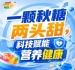 金陵金秋,第115届糖酒会,食饮新繁荣,共享盛果